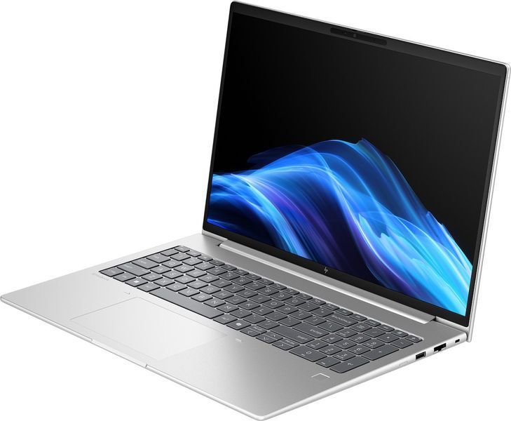 Ноутбук HP ProBook 4 G1ah 16 (AW8Q5AV_V9) Silver 116873 фото