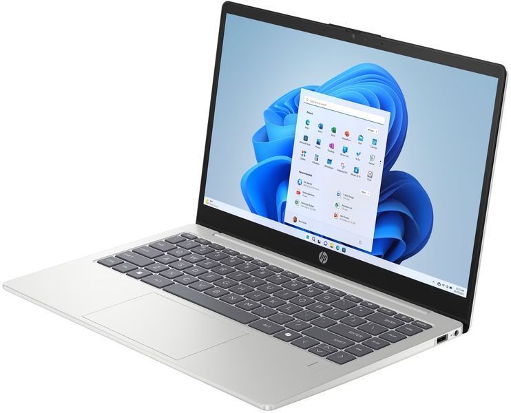 Ноутбук HP 240R G10 (C5VM9ET) Silver 119516 фото
