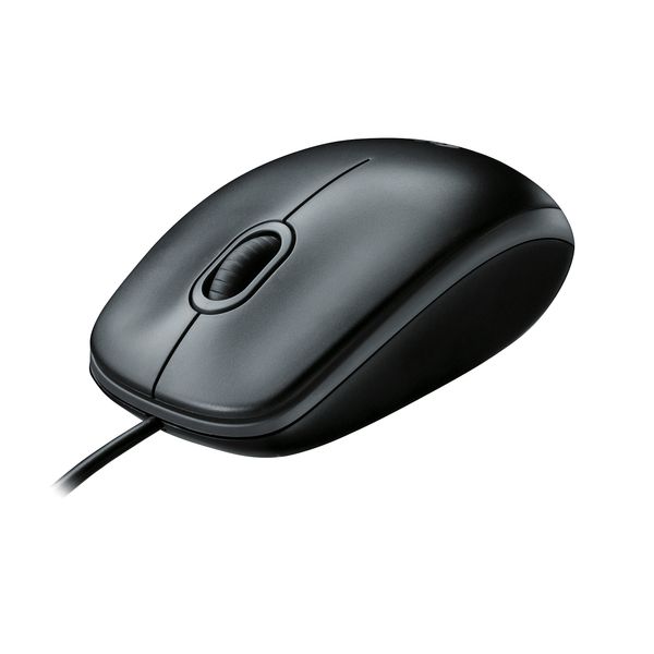 Мишка Logitech B100 Black (910-003357) 10031 фото