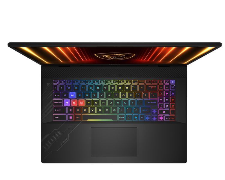 Ноутбук MSI Crosshair A17 HX D8WFKG-024XUA (9S7-17TL23-024) Cosmos Gray 119378 фото